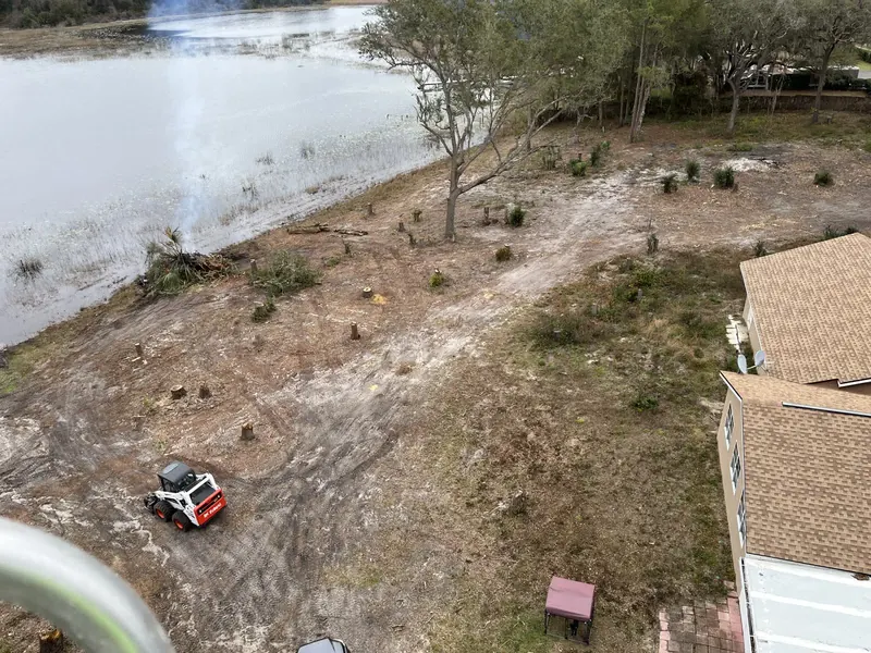 Aerial view of a lakefront lot cleared and thinned right up to the edge of a Central Florida home