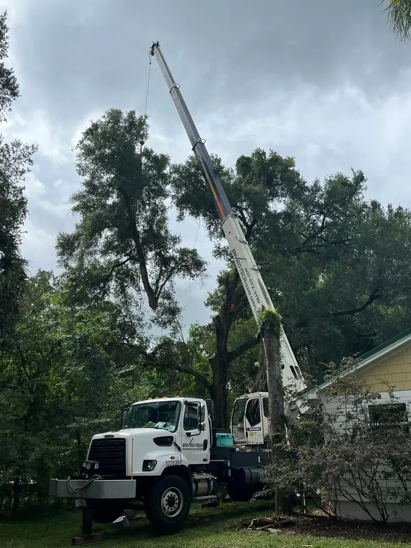 Crane-assisted removal of a large oak tree beside a two-story house, boom extended over the roofline
